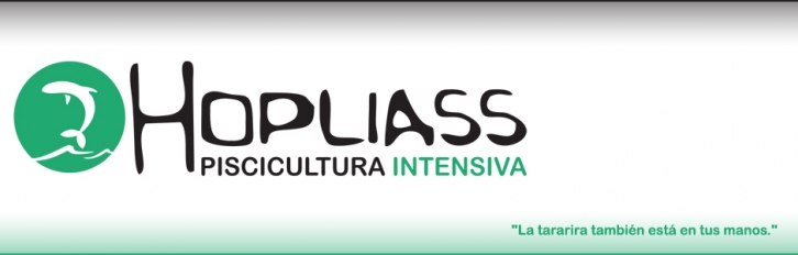 Tarariras: Proyecto Hopliass