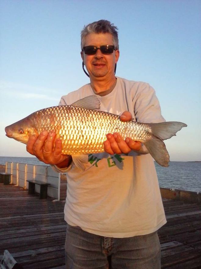 Boga y carpa