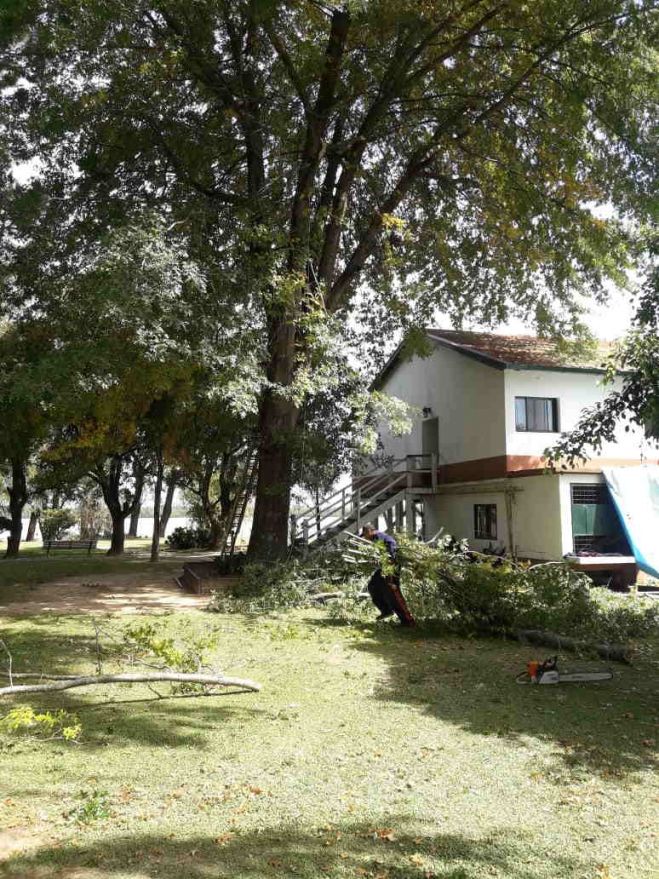 Poda y limpieza en el Guazú por los últimos tornados