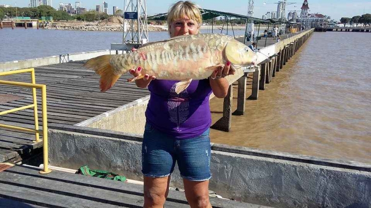 Carpa Real de 8,300 Kg