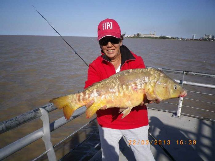 Romina Trápaga - Carpa real de 5,480 kg.