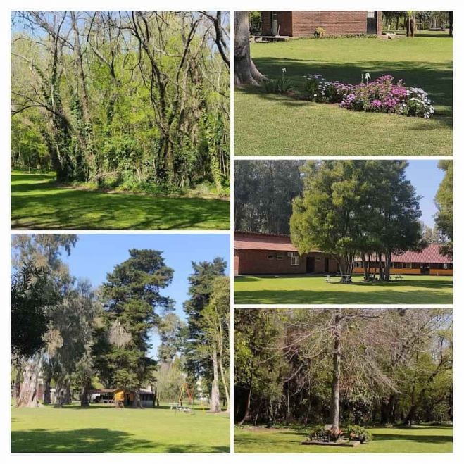 Los colores de la primavera en la Sede Chascomús