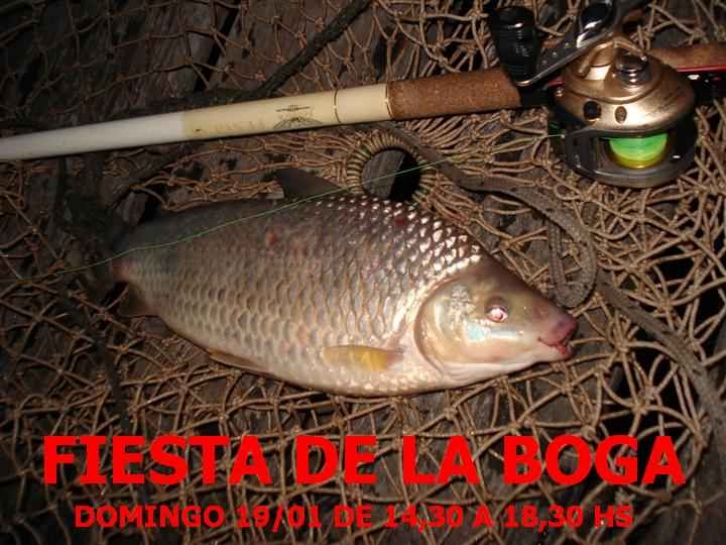 Fiesta de la boga