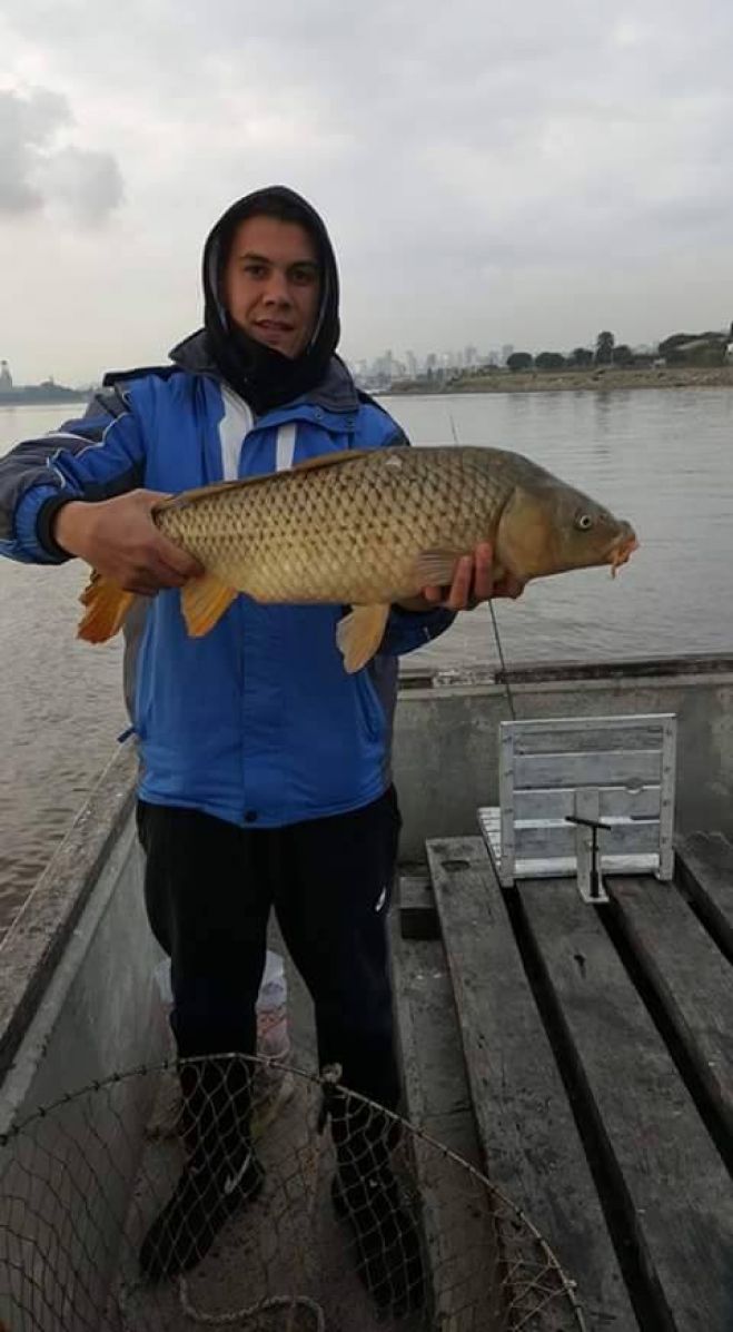 Carpa