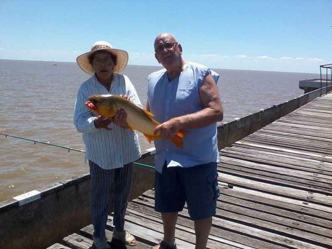 Juan Carlos y Teresa Bertino