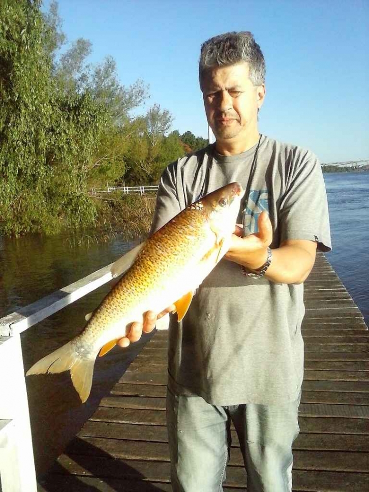 Bogas en Guazú