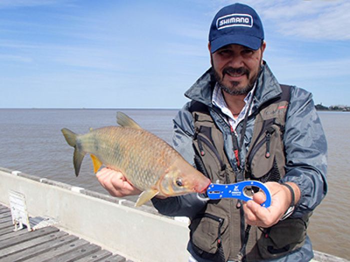 Nota en Pescadores en la red: Tarde de bogas y carpas