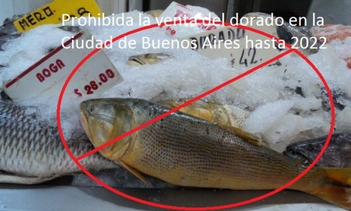 Prohiben por Ley la venta del dorado en la Ciudad de Buenos Aires